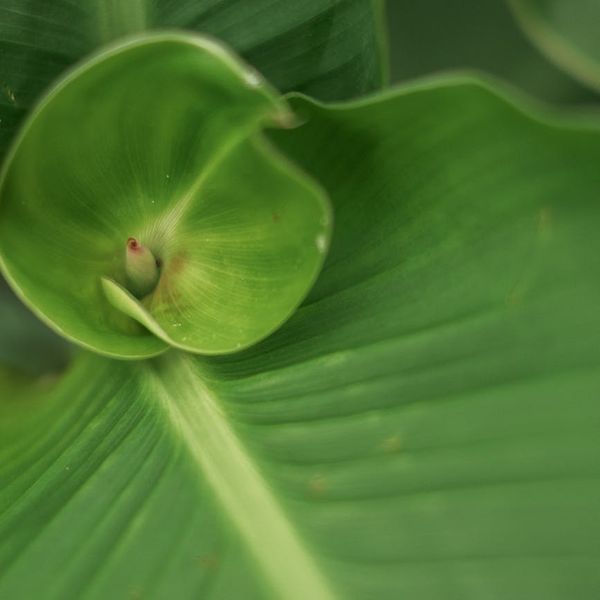 Abstract design showing a path of growth and consistency.